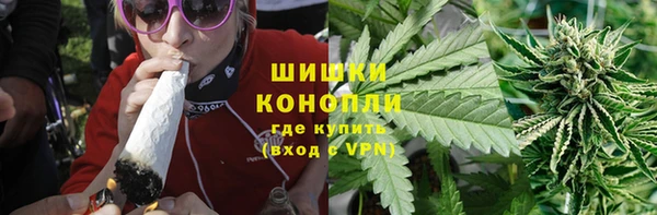 ГАЛЛЮЦИНОГЕННЫЕ ГРИБЫ Осташков
