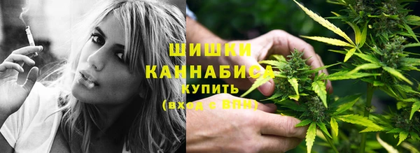 дмт Осинники