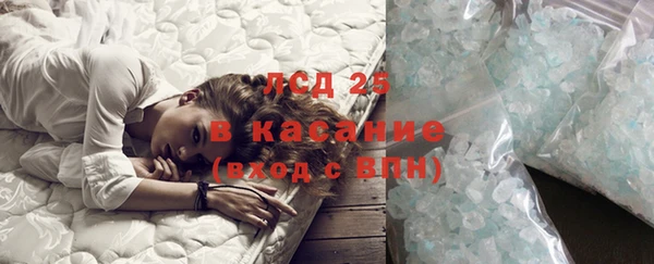 ГАЛЛЮЦИНОГЕННЫЕ ГРИБЫ Осташков
