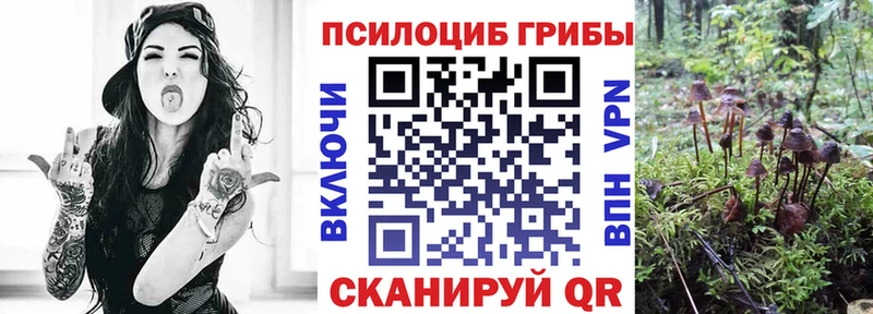 как найти закладки  Агрыз  Галлюциногенные грибы Magic Shrooms 